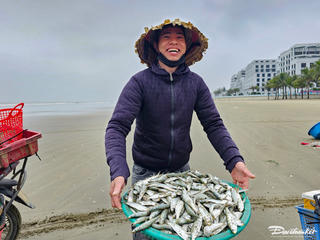 Ngư dân xứ Thanh vào mùa cá trích