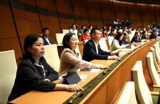 Cơ cấu số lượng thành viên Chính phủ do Thủ tướng Chính phủ trình Quốc hội quyết định