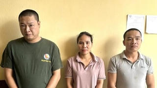 Hai vợ chồng ngày đi thám thính, tối đến trộm cắp thiết bị máy xúc