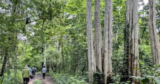 Bình Thuận: Không còn vị trí nào khác phù hợp để làm hồ Ka Pét