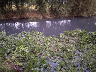 Bạc Liêu: Hàng trăm người dân ‘cầu cứu’ vì dòng kênh bốc mùi hôi thối