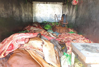 Hà Tĩnh: Phát hiện xe tải vận chuyển hơn 1,1 tấn nội tạng không rõ nguồn gốc