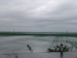 Quảng Trị: Hơn 2.000ha lúa bị ngập vì mưa kéo dài