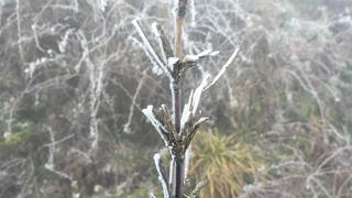 Thời tiết ngày 28 tháng Chạp có nơi dưới 3 độ C