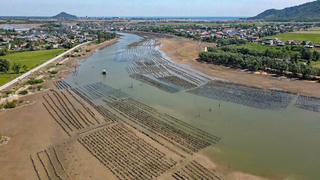 Hà Tĩnh: Chiếm dụng lòng sông, đóng hàng nghìn cọc bê tông để nuôi hàu trái phép