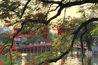 Hoa đỏ cuối mùa