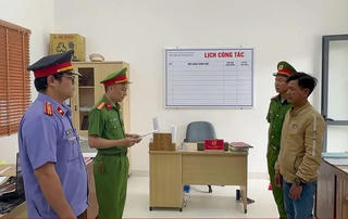 Quảng Nam: Khởi tố 2 đối tượng chặt phá rừng phòng hộ