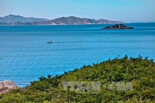 Hướng về phía biển