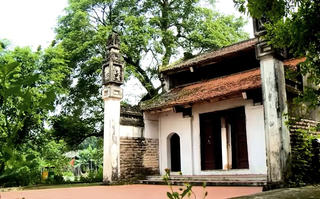 Hoài niệm một vùng quê lụt lội