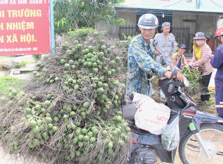 Cau mất giá, nhà vườn lo lắng