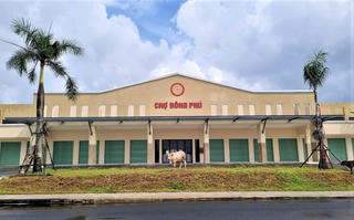 Quảng Nam: 35 dự án còn nợ hơn 2.000 tỷ đồng tiền sử dụng đất, thuê đất