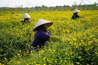 Hải Phòng: Đồng bộ các giải pháp giảm nghèo bền vững