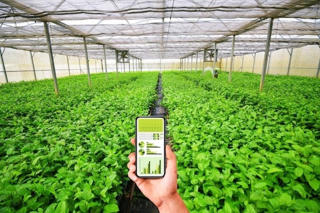 Khi hợp tác xã chuyển đổi số