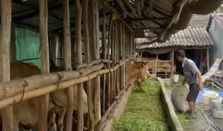 Đẩy mạnh kiểm tra, giám sát vùng đồng bào dân tộc thiểu số