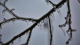 Bão băng khiến hàng trăm nghìn người Canada bị mất điện
