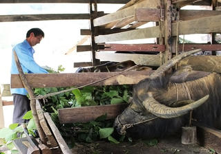 Nhiều cách làm hay ở Cao Bằng