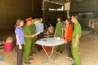 Đắk Lắk: Bắt tạm giam nữ giám đốc công ty nông sản vì tội lừa đảo chiếm đoạt tài sản 