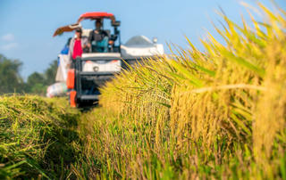 Gỡ rào cản thu hút đầu tư vào nông nghiệp