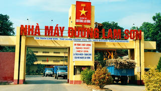 Công ty CP Mía đường Lam Sơn bị phạt 100 triệu đồng