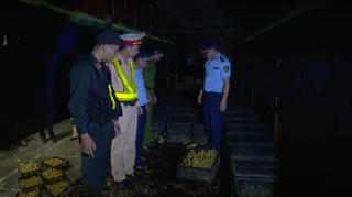 Ngăn chặn nhập lậu gia súc, gia cầm