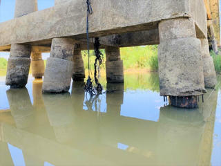 Quảng Ngãi: Cần đảm bảo an toàn cho cầu Trà Khúc 1