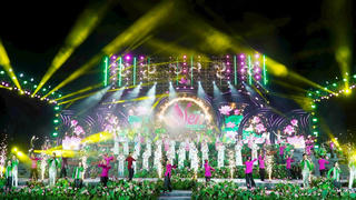 Khai mạc Lễ hội Sen Đồng Tháp lần thứ II năm 2024