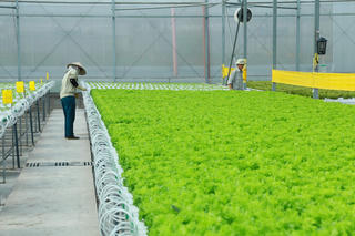 Kinh tế tuần hoàn và cơ hội cho doanh nghiệp