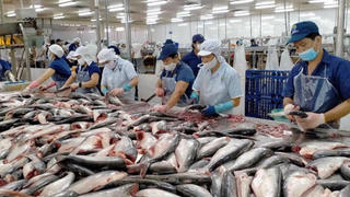 Ngành thủy sản kỳ vọng biên độ xuất khẩu khoảng 9,5 - 10 tỷ USD năm 2024