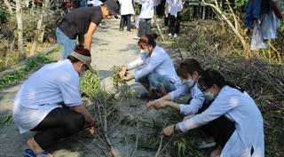 Kho dược liệu giữa rừng tràm Tháp Mười