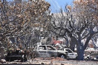 Thảm họa cháy rừng ở Maui