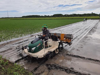 Nông dân phấn khởi với mô hình lúa – tôm