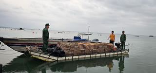 Quảng Ninh: Phát hiện bè gỗ chở gần 30.000 quả trứng gà nhập lậu