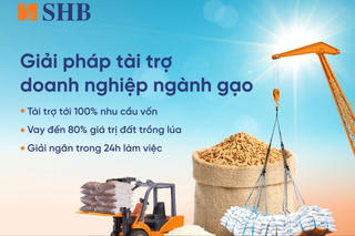 SHB ra mắt giải pháp tài trợ linh hoạt cho ngành gạo, đồng hành cùng chính phủ phát triển nông nghiệp bền vững