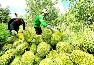 Sản xuất sạch để phát triển bền vững