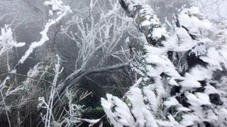 Cảnh báo thời tiết rét buốt trong dịp Tết Nguyên đán 2023