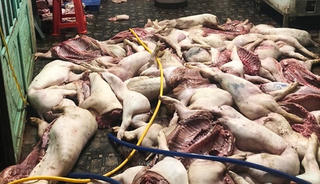 Đồng Nai: Kinh hãi phát hiện hơn 1 tấn thịt lợn  thối 