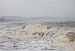 Áp thấp nhiệt đới mạnh thành bão số 2, gió giật cấp 10