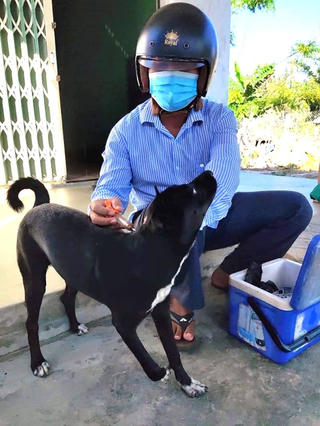 Quảng Nam: Cháu trai 7 tuổi bị chó dại cắn tử vong