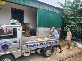 Nghệ An: Dịch tả lợn châu Phi lan rộng