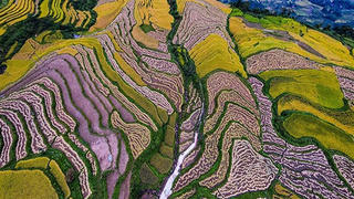 Na Hang - Mộng mỵ quên lối ta về