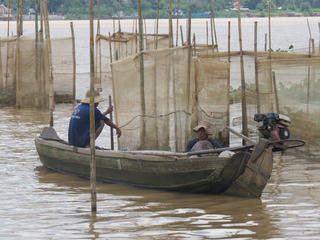 Săn đặc sản mùa nước nổi