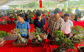 Đắk Lắk: Gần 5.000 tác phẩm độc đáo dự triển lãm trưng bày và thi Sinh Vật Cảnh