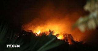 Cả nghìn người chữa cháy rừng tại Tuyên Quang: Xác định nguyên nhân ban đầu