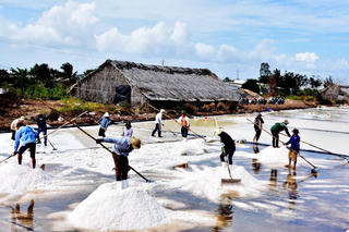 Bạc Liêu: Đưa hạt muối vươn xa