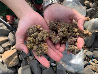 Quảng Ngãi: Phát hiện 17 túi chứa chất ma túy trôi dạt vào bờ biển