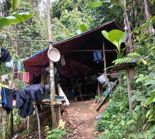 Quảng Trị: Phát hiện 3 vị trí khai thác vàng trái phép ở rừng phòng hộ