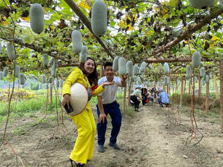 Bắc Kạn: Đổi mới phương thức kinh doanh tiêu thụ nông sản