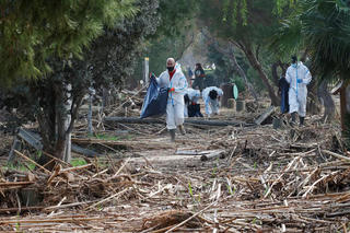 Phá Albufera (Tây Ban Nha) vẫn ngập rác thải sau lũ lụt