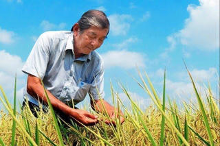 Hành trình của hạt ngọc trời