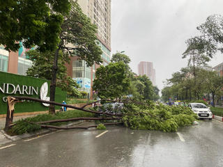 Hà Nội tạm cấm các phương tiện di chuyển vào khu vực ngập sâu, cây xanh đổ